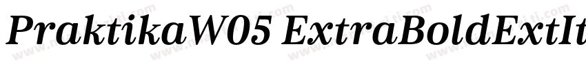 PraktikaW05 ExtraBoldExtIt字体转换